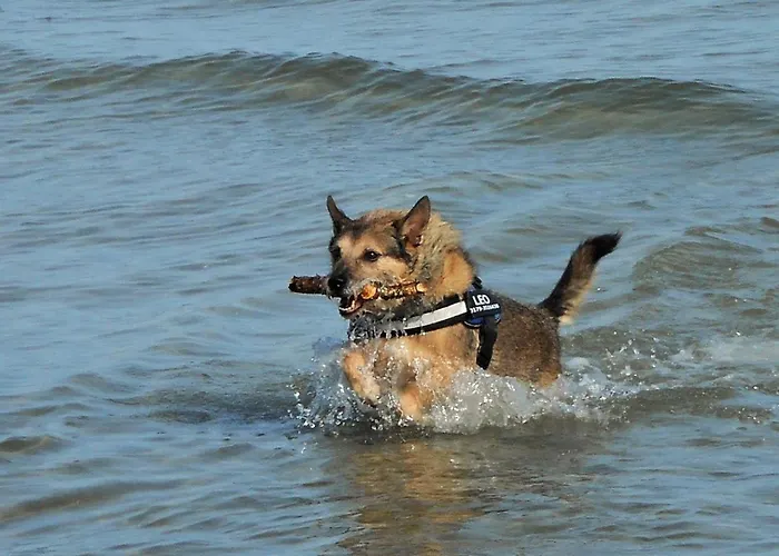Ferienhaus Am Redensee *